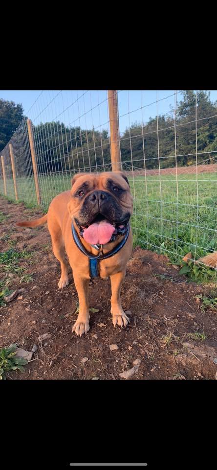 1930 6a4eb5826923a8d110105cee15c2e13c 1