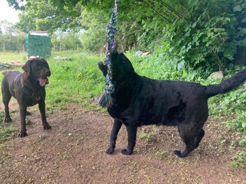 1930 6da503c1de02b4cded7904be62c07335 1