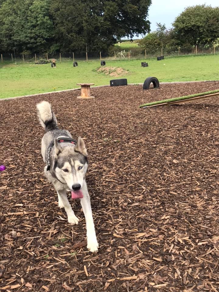 1930 6ee6edd01709ac8ebf66bec9f3dd2023 1