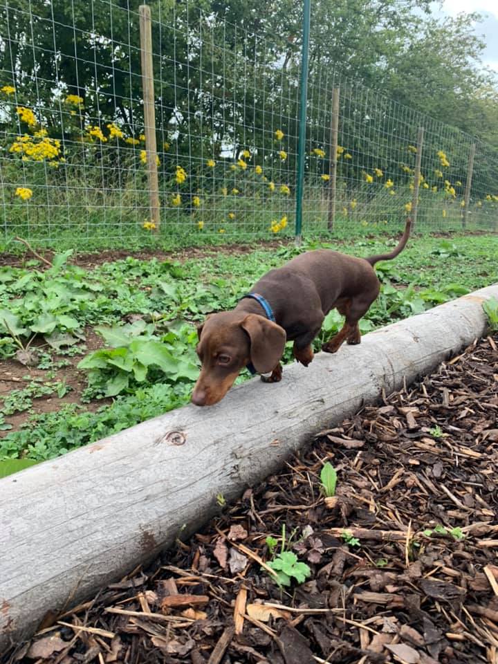 1930 8cb61c7a522b3e9a94fa1d0e1e7ace82 1