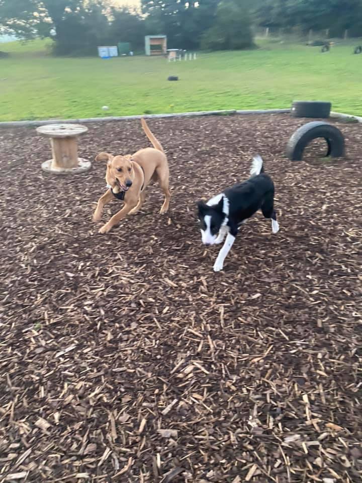 1930 9aebd4be10d5ada3b639592bfe59a308 1