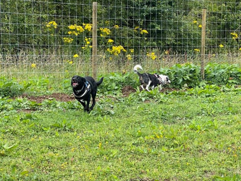 1930 a25333a5ad60bc54193a7bb54183001d 1 768x576