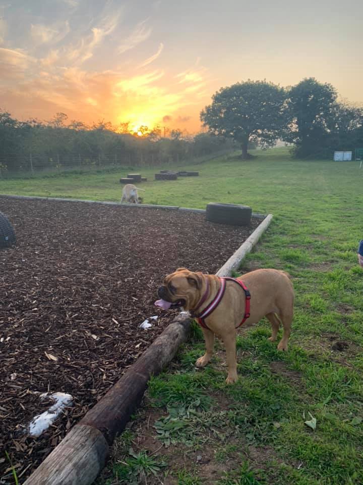 1930 b583032a9af77db6b3f498406c733ad4 1