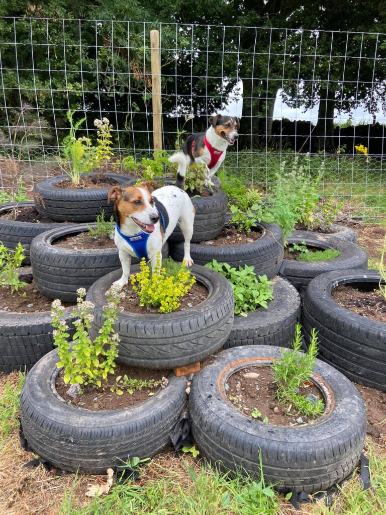 1930 ba44710bcc88ff2a37b00cadfabbe5c1 1 768x1024