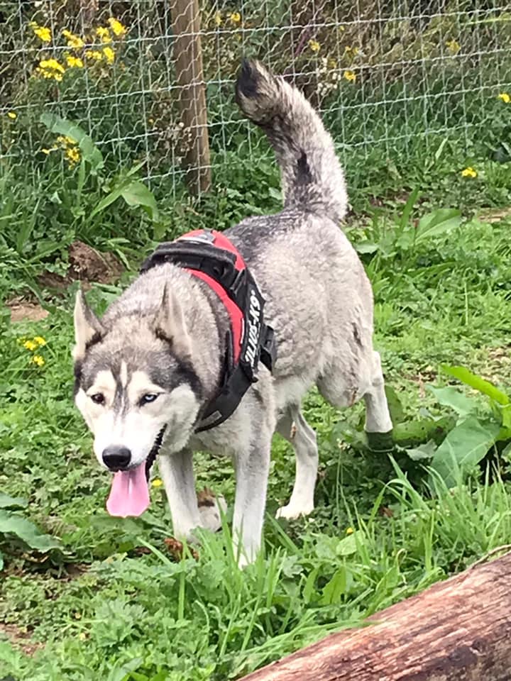 1930 ca6ac7ed07124f224c298b4d1f670f10 1