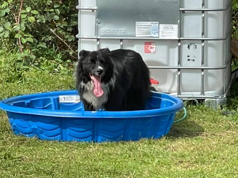 1930 cdc181bac171f643430e98e541c3a93a 1 768x576