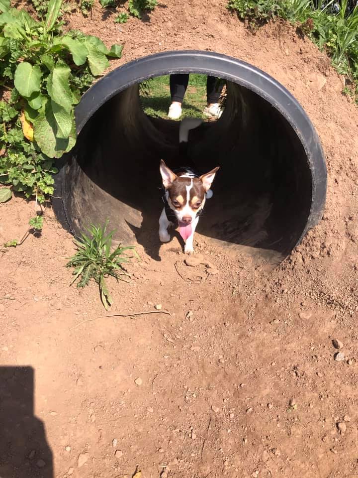 1930 d4b1956957d876d3681ff09e43e14935 1