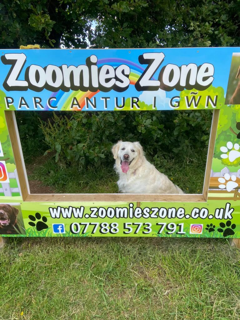 1930 d61b6e4b9a9016b69ea5cd26d5d0e7c9 1 768x1024