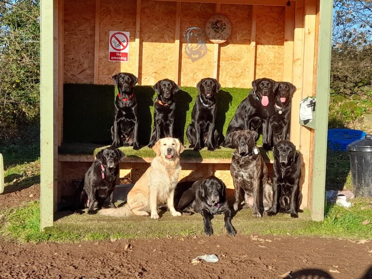 1930 d824dd945c8c5e2c675b5d67c9f37447 1 768x576