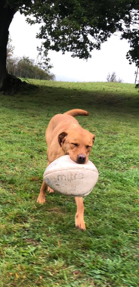 1930 da135d108d55d498e1765f5f76cd9e88 1