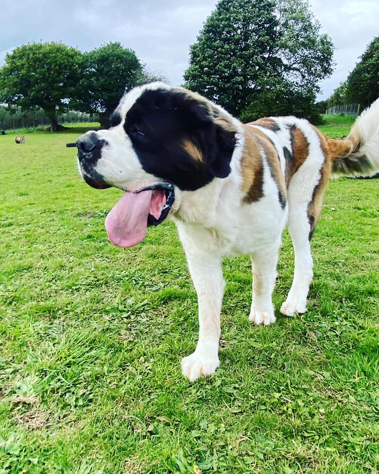 1930 dd06a6f1913c05e651bdc826859f7ebf 1