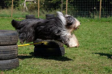 1930 fb219ce5258438338db3ff3a59f44a80 1