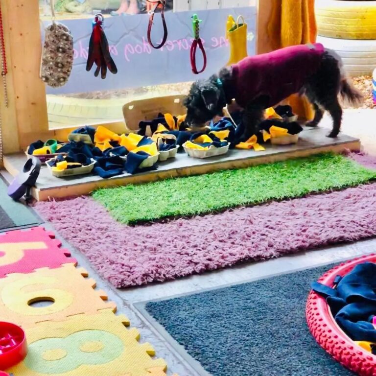 1931 026d824a2c2e2c645b523702b6a2e0b3 1 768x768