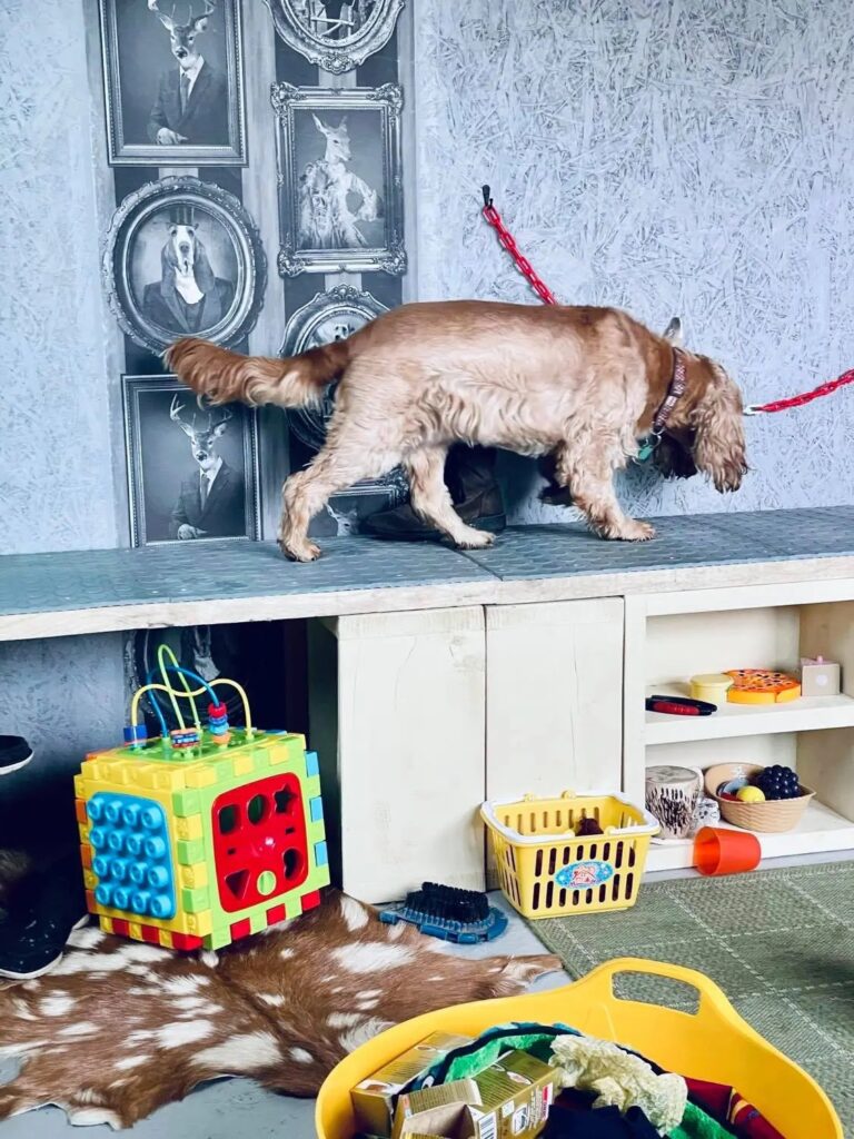 1931 17a6cabc065e8f34f7862edead738ed7 1 768x1024