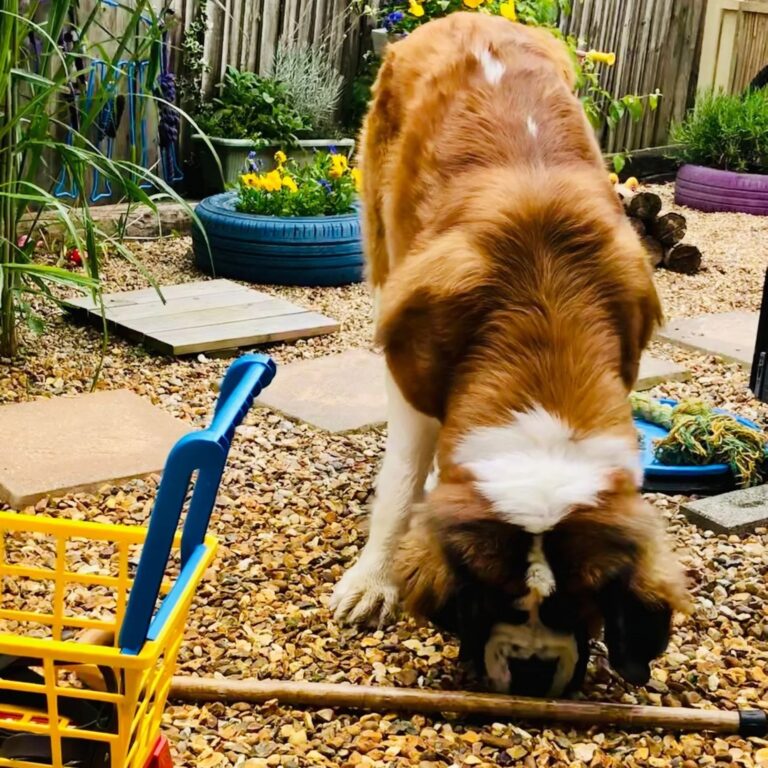 1931 1d295acbcd953ae734387b029d154a74 1 768x768