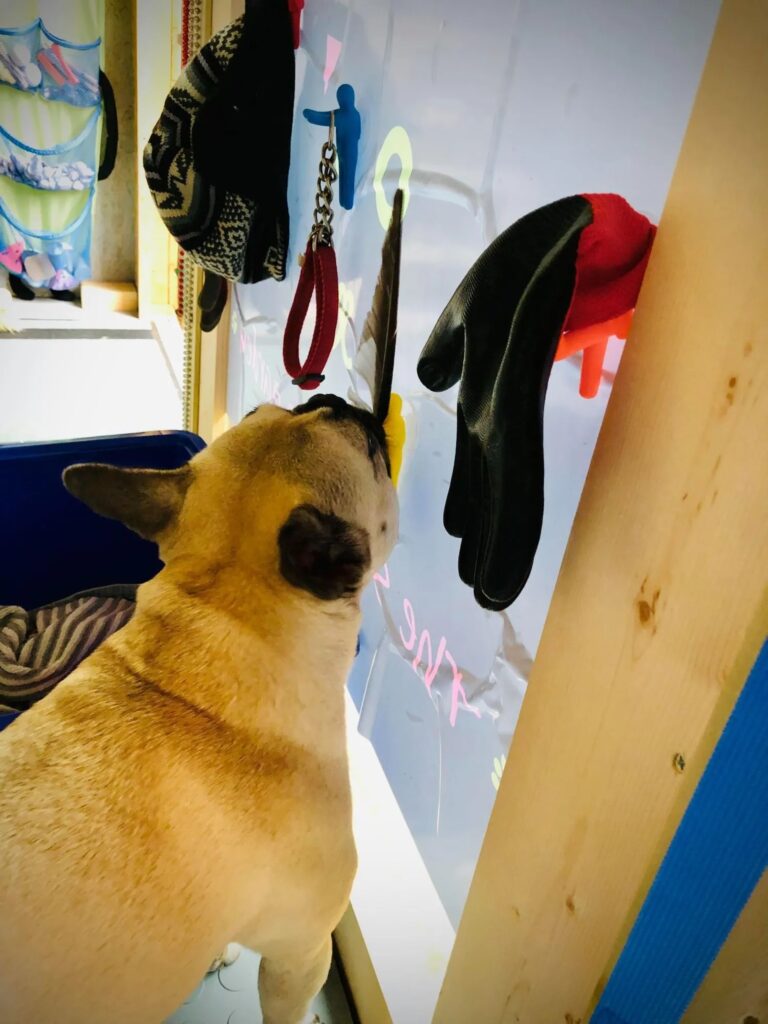 1931 1e5aae87431235034c7d8ff8384c5759 1 768x1024