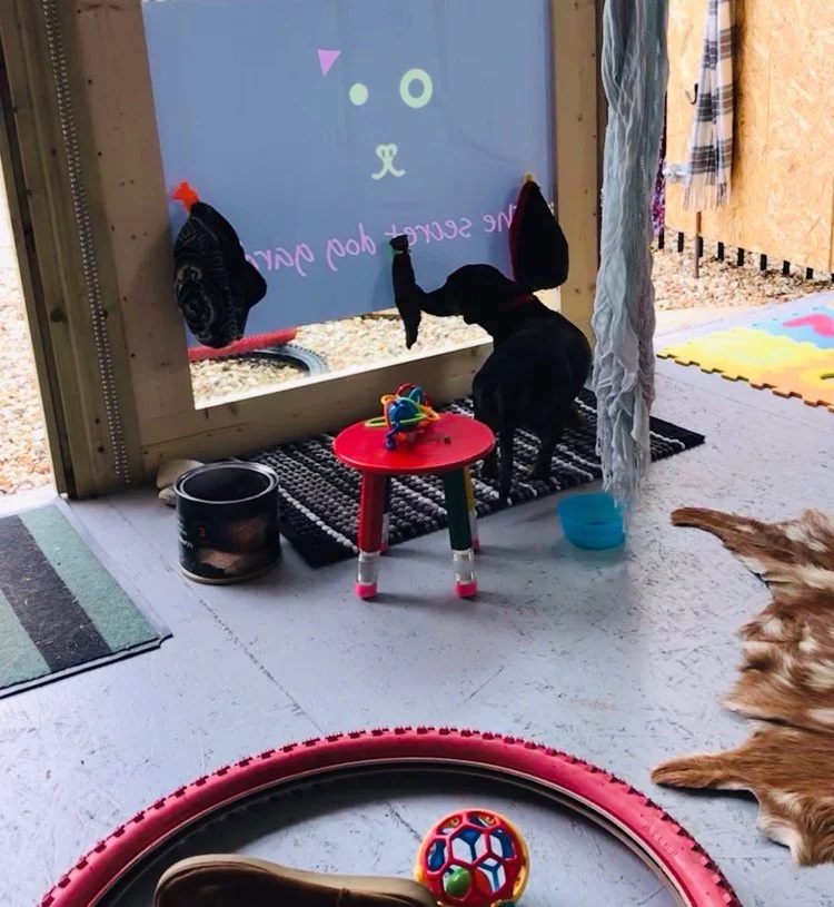 1931 1f464d2ac87c89c655d5974ecda600eb 1