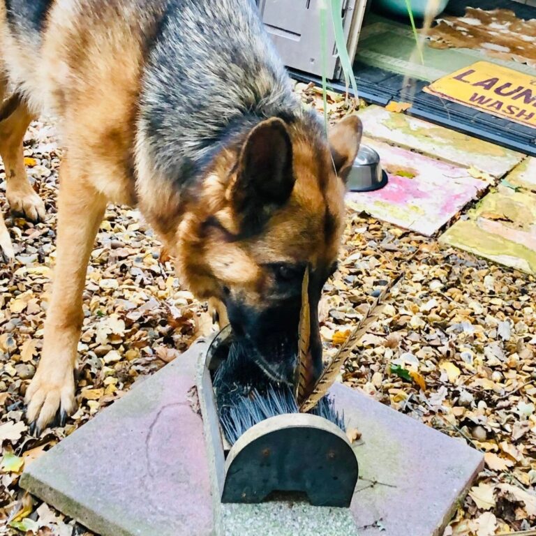 1931 21b5f713115dba9b5edc590e3d1028a2 1 768x768