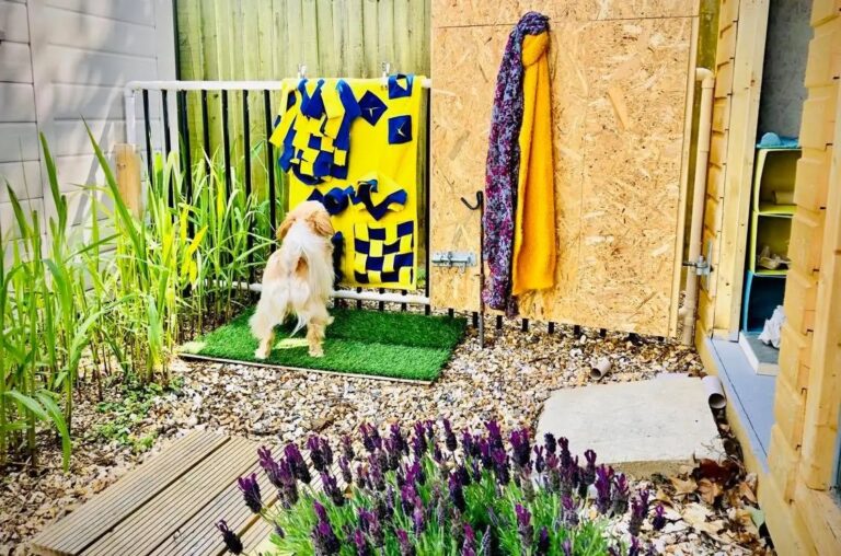 1931 22629d80dbf8f9b4ffee6788b75deb56 1 768x508