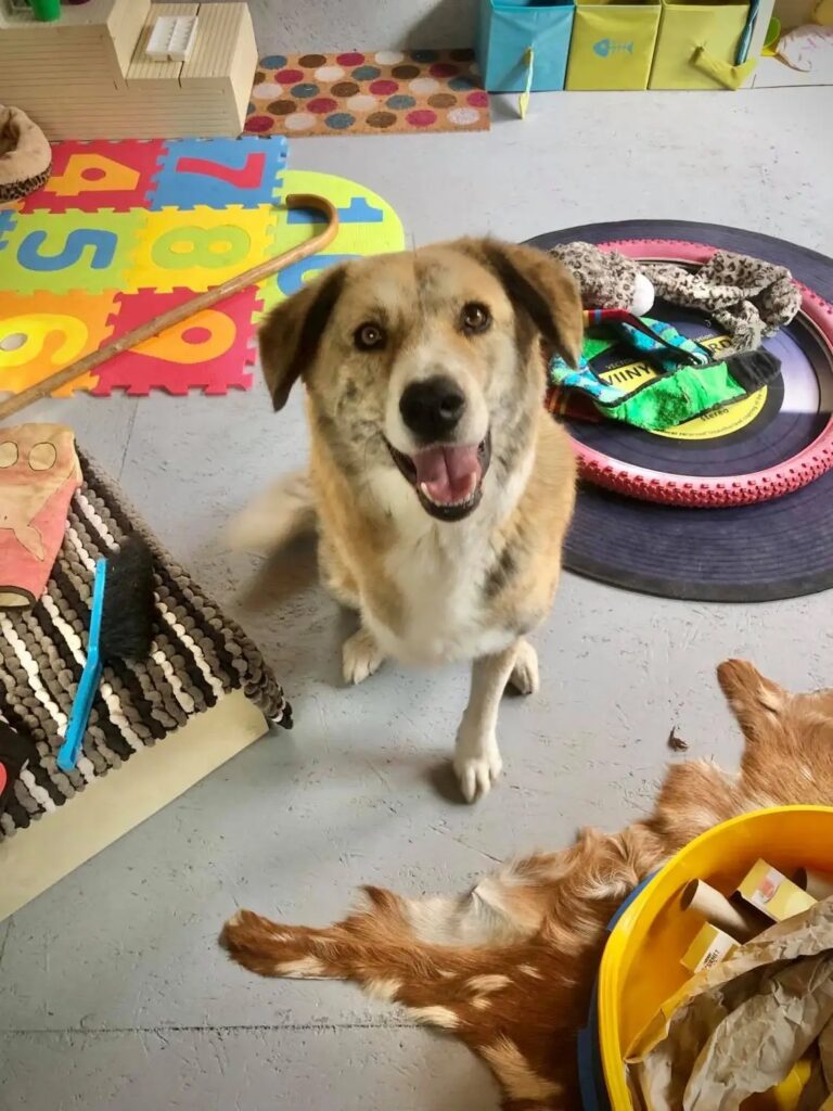 1931 2383bfce3febbac579c9c9c6fc8c33f5 1 768x1024