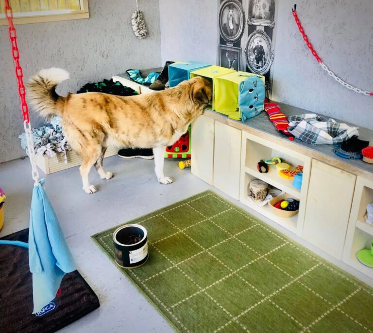 1931 2a7173300ebdbf32de860961cce2ea13 1 768x687