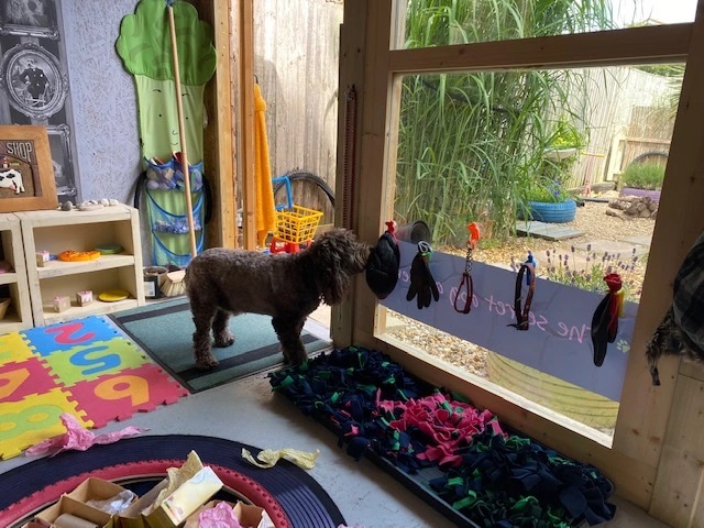 1931 2aa57c47546a6eb0ce910c3916e0d12b 1