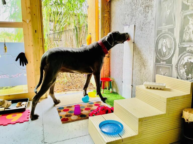 1931 30611961a69d746ec1dd8a1283d97c5c 1 768x576