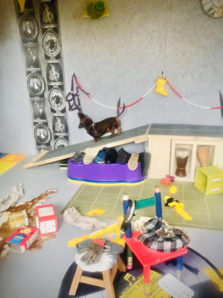 1931 35ee0805cd72bd76a17b0283a8e4e4f6 1 768x1024