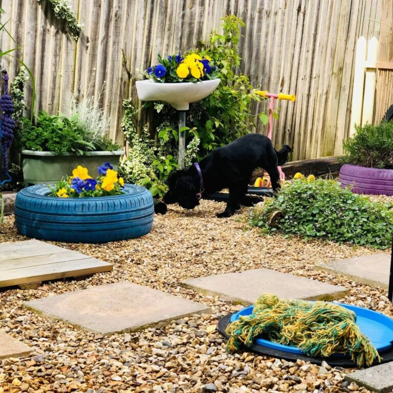 1931 3628c97a811a1329d05d7b22487aa727 1 768x768