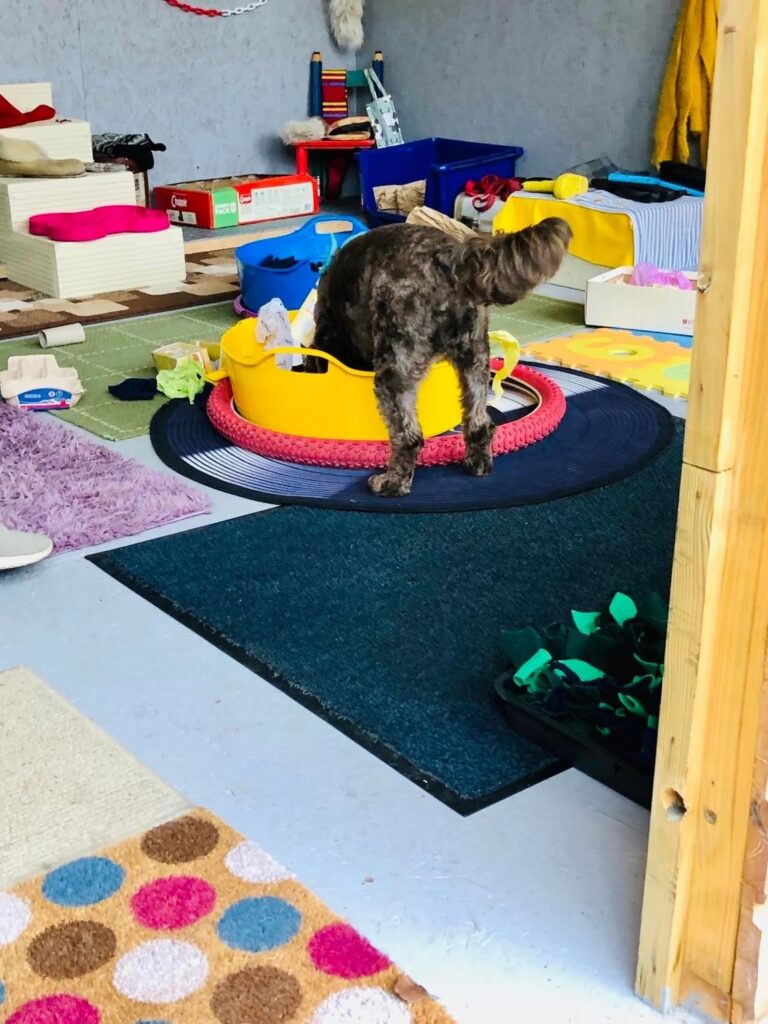 1931 3927d5c3445e975949527b176e3dd631 1 768x1024