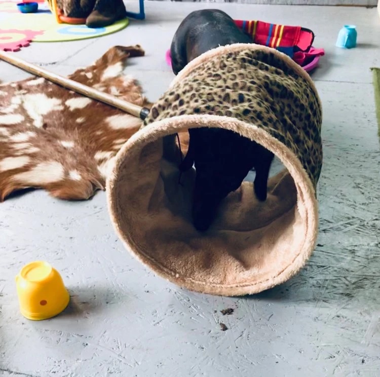 1931 675c6a42c8e45dc17807720476cb22f8 1