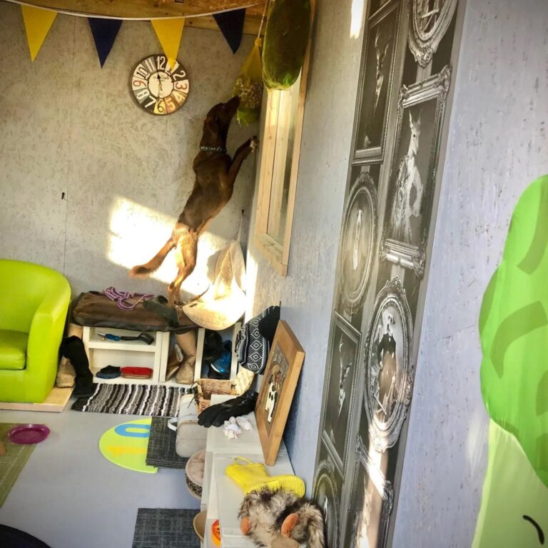 1931 6a789819d7be0ff88ad8d18c5cc1d71f 1 768x768