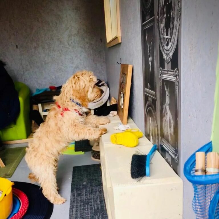 1931 75797759ad3660af9c66c04d66d9f629 1 768x768