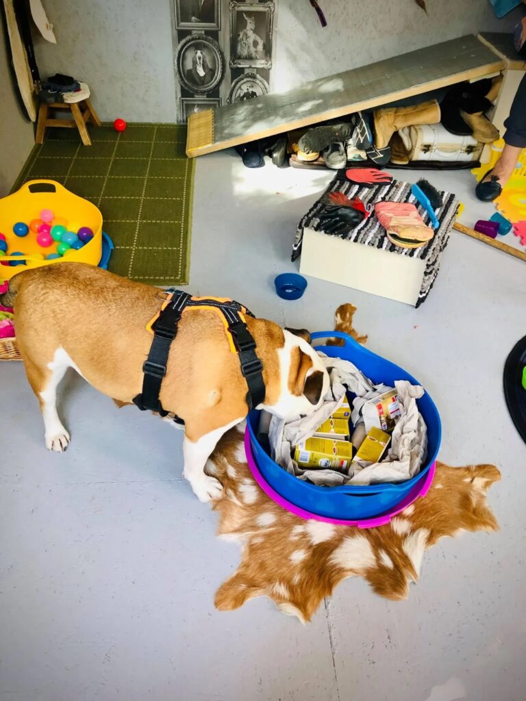 1931 76be38daee0e8caa20063ad332453c86 1 768x1024