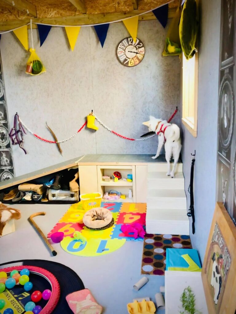 1931 80a661a97d17c2b263f751172f627907 1 768x1024