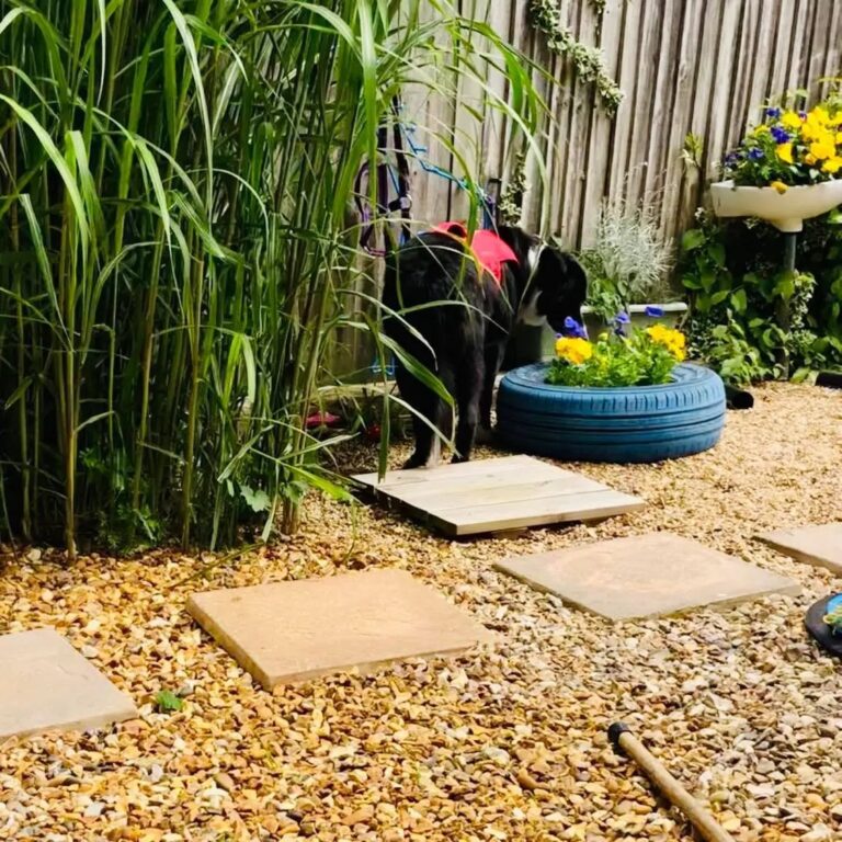 1931 84a1da7f599e95886daac8df21e85ca2 1 768x768