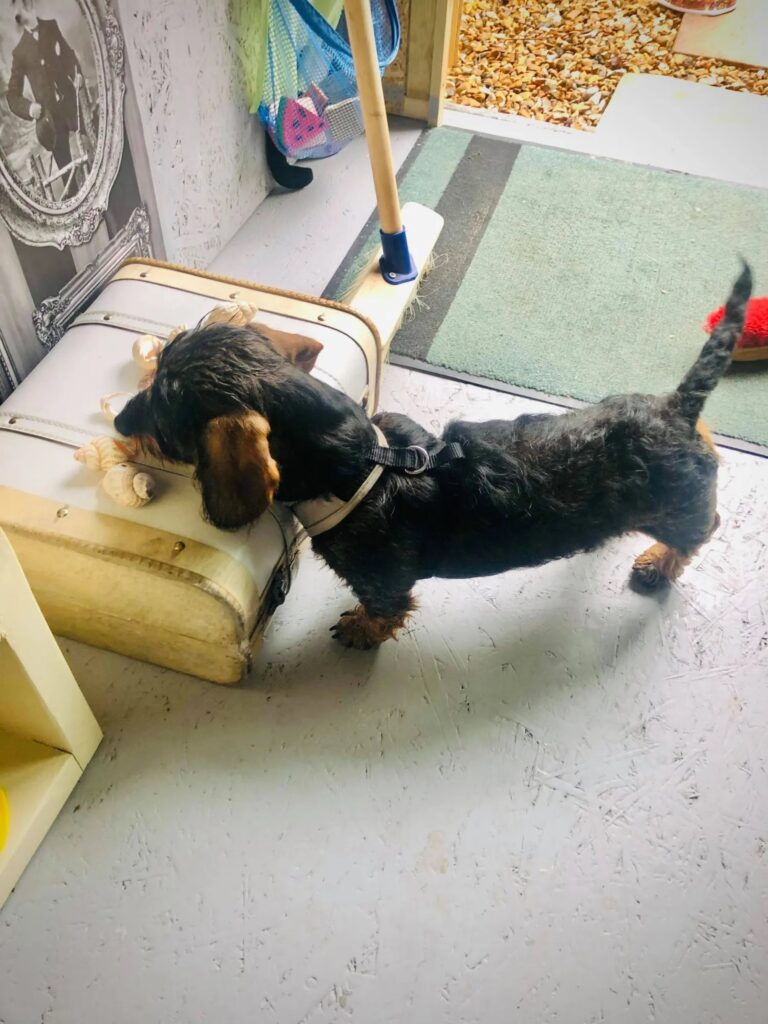 1931 8d9e7e4a7c608c3cc64c2445b16f6803 1 768x1024