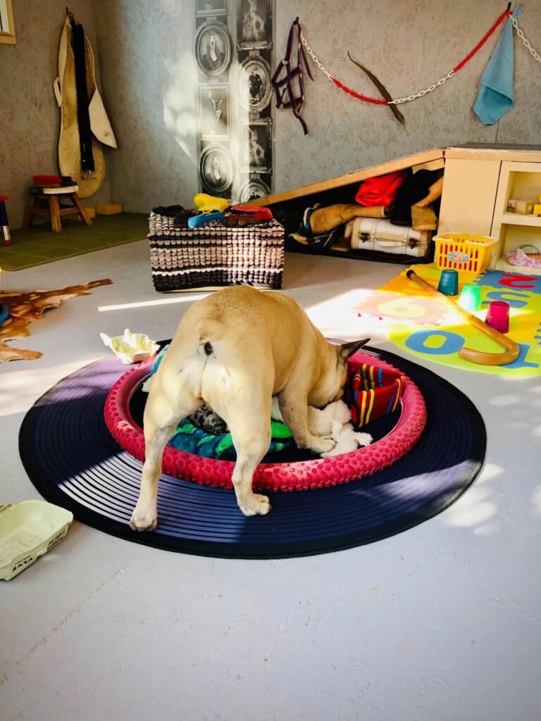 1931 944c1cdf1976dbccf38fa5ee8543c68d 1 768x1024