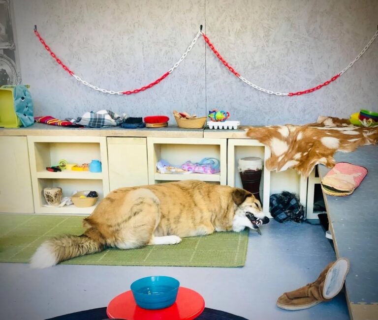 1931 963146b4287fbf466ce52a6b28c4c2c1 1 768x651