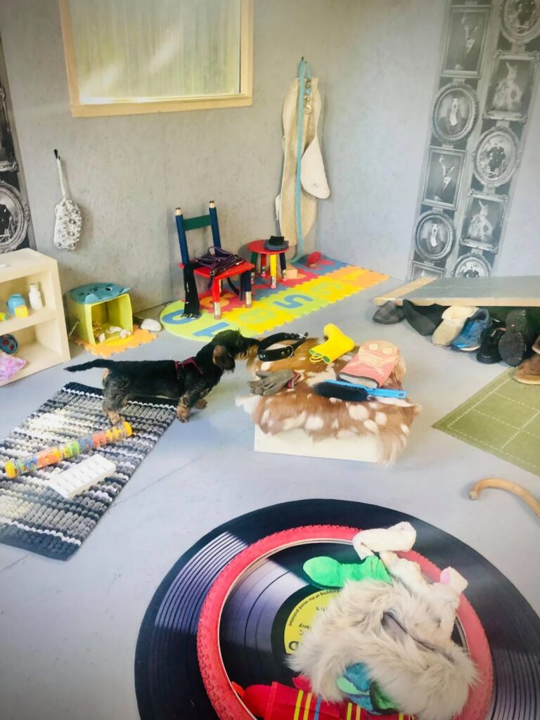 1931 99728f33f9ecf3b32476f9a6d07be6d7 1 768x1024