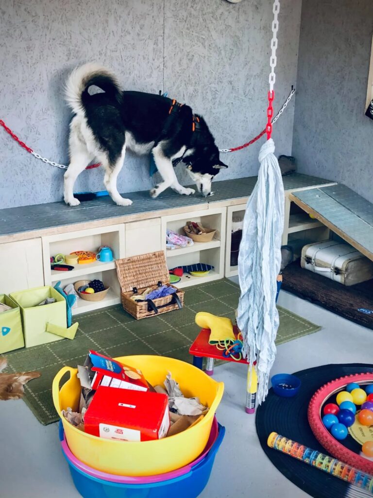 1931 9ea7e192149343b32bfdbeeb8d74207e 1 768x1024