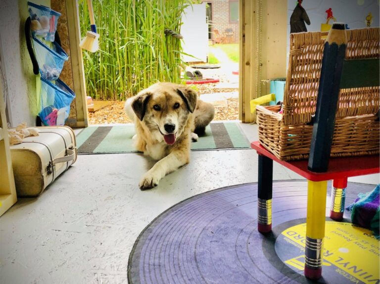 1931 9fe7c0a1c3f43fe45aeb67d0e47da610 1 768x574