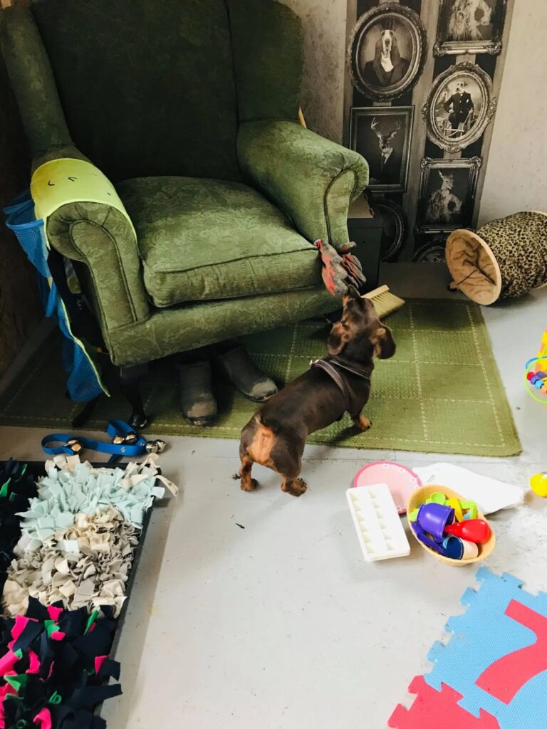 1931 a474a35aaf33ea3b389f1f9a3bd8ce86 1 768x1024