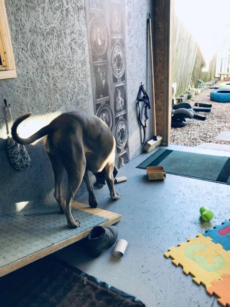 1931 bed297bf8568f1a3f05a2801747eca59 1 768x1025