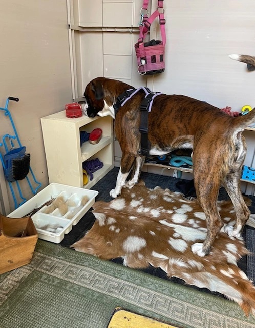 1931 c31bc080eaba7271d29df6f17b1b5c5b 1