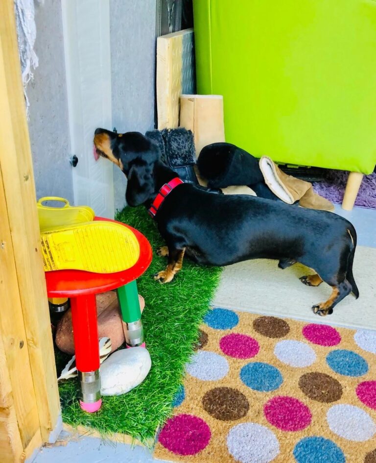 1931 c4b5c9c16e26d3c7265f85638d4fcbf6 1 768x945