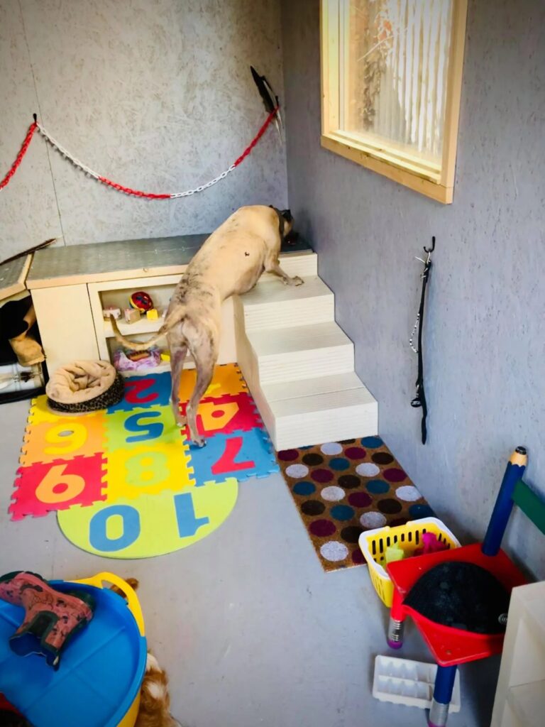 1931 d1508732bec0ad6c3ac35f18fd70c5f3 1 768x1024