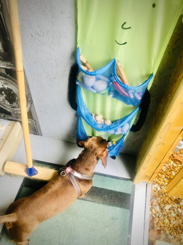 1931 d47b4442d1cd93475e7c702a79f20a15 1 768x1024