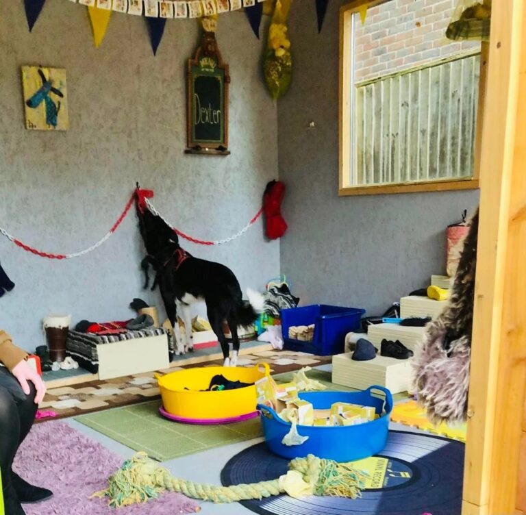 1931 ddcbf39f7c28b940a0db49edbcab7618 1 768x752