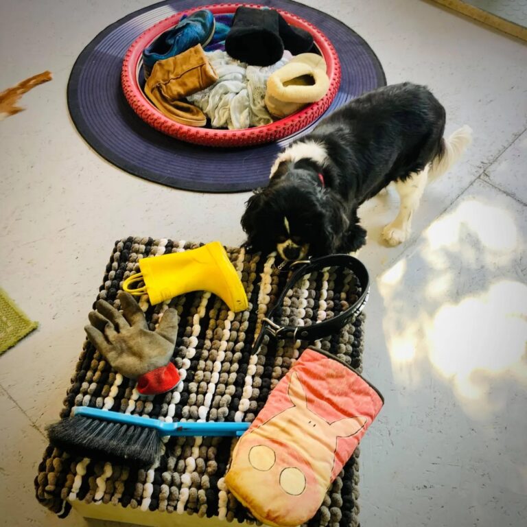 1931 e65187e559ff2cf20710269efd658fb1 1 768x768